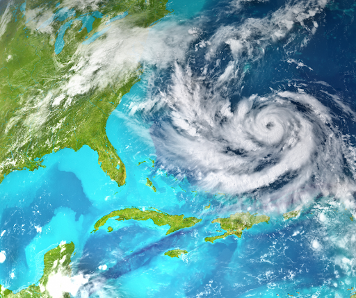 Shielding your business from the storm: Hurricane prevention and insurance strategies